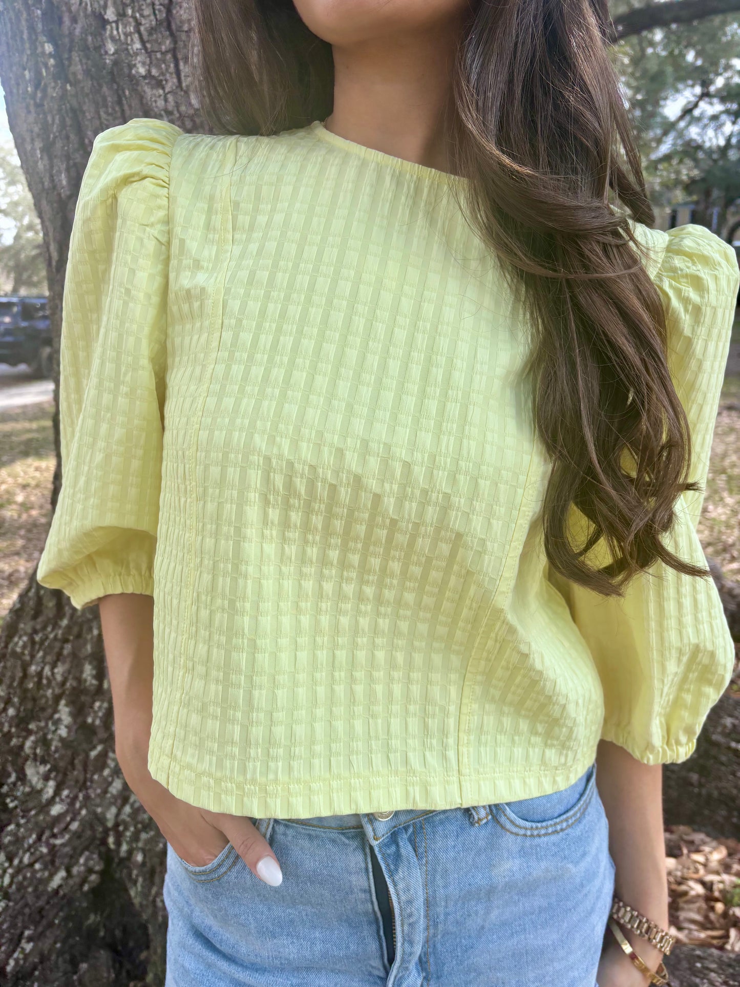 Quarter Length Puff Sleeve Top