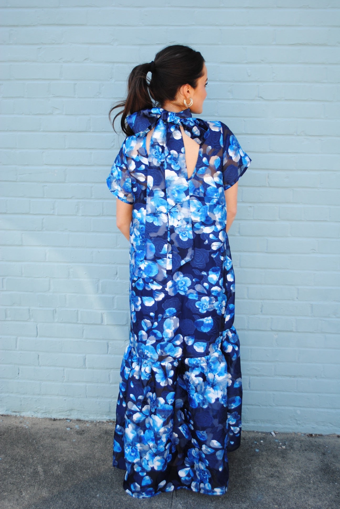 Floral Dime Organza Maxi Dress